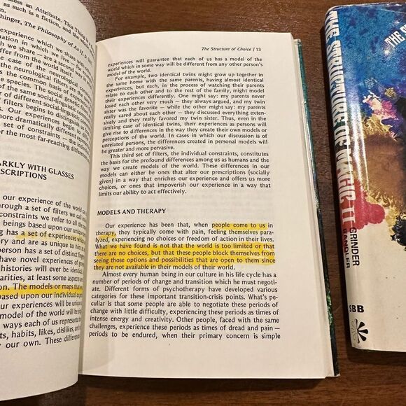 The Structure of Magic 2 Volume Set Grinder And Bandler vintage grannycore - Picture 8 of 16